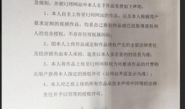 爆料新闻视频素材,爆料新闻视频背后的惊人真相