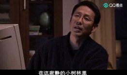 中国伦理在线观看影片,在线观影中的道德启示录