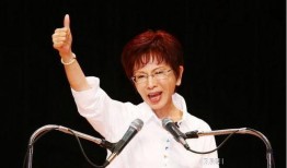 洪秀柱爆料视频大全集,揭秘政坛风云与幕后真相