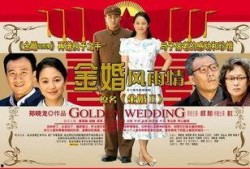 金婚风雨情全集在线观看,重温经典，共鉴岁月沧桑