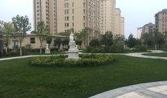 枫丹实景爆料最新消息今天,今日热点聚焦