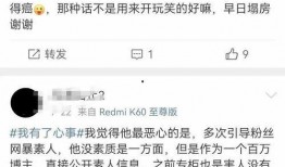 桃园日记爆料视频,视频爆料背后的惊人真相