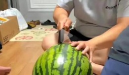 吃瓜现场免费观看,精彩瞬间不容错过！