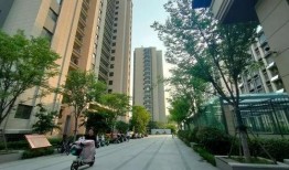 德州楼市爆料新闻最新消息