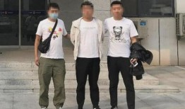 邢台特警爆料案件最新情况,揭秘重大案件进展与侦破细节