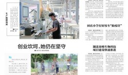 今日应城新闻爆料视频,最新爆料视频揭示惊人事件