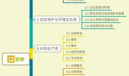 伞兵爆料建模视频大全集,揭秘建模视频大全集背后的精彩瞬间