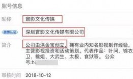 娱乐圈背景爆料,揭秘明星背后的秘密与真相