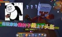 小宇家族爆料视频大全集,揭秘家族风云录