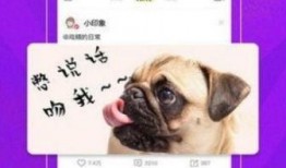 八哥爆料赤犬视频大全下载