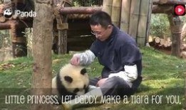 熊出没新皮肤最新爆料视频,官方爆料视频揭秘神秘设计