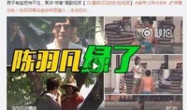 全员爆料陈晓晓视频,揭秘背后惊人真相