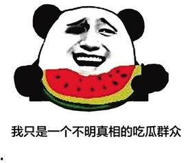 网络用语吃瓜子暗示着什么,网络用语“吃瓜子”的深层寓意